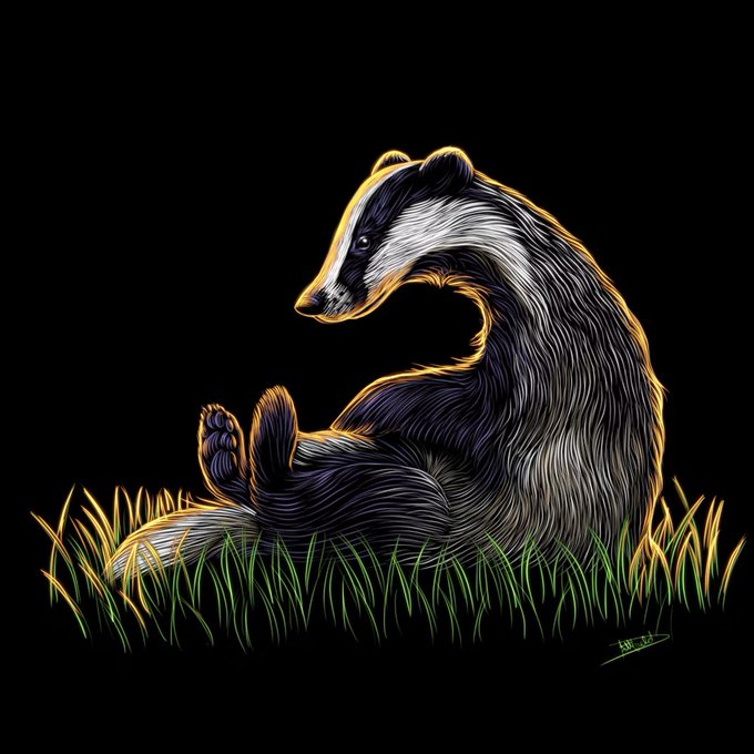 A stylized illustration of a badger sitting in grass with its head turned backward, rendered in detailed linework with golden highlights against a black background.