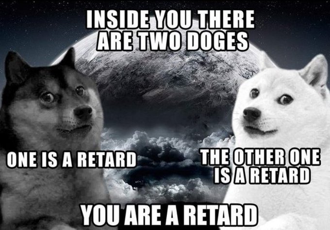 The 'Inside You There Are Two Dogs' meme featuring a husky and a doge, but with 'retard' substituted for the original humorous ending words, set against a moon and clouds background.