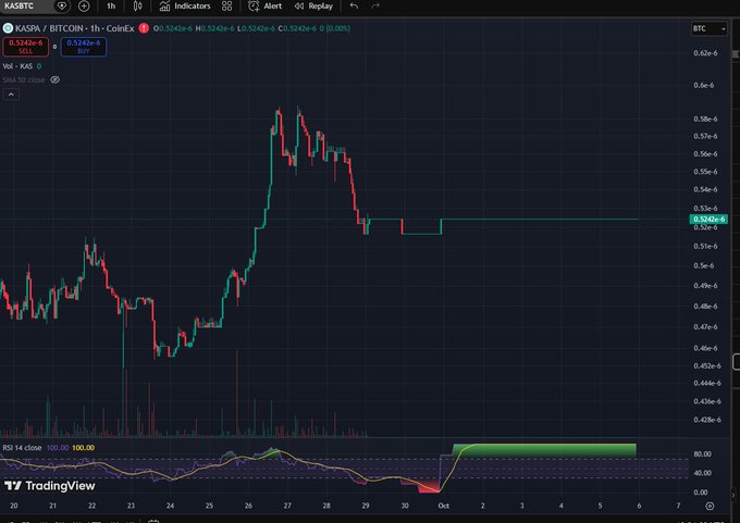 A TradingView chart on KASBTC (KAS Bitcoin/BitcoinEx) displays candlestick price action on a 1-hour timeframe, with volume bars and an RSI 14 indicator at the bottom showing a reading of 100.
