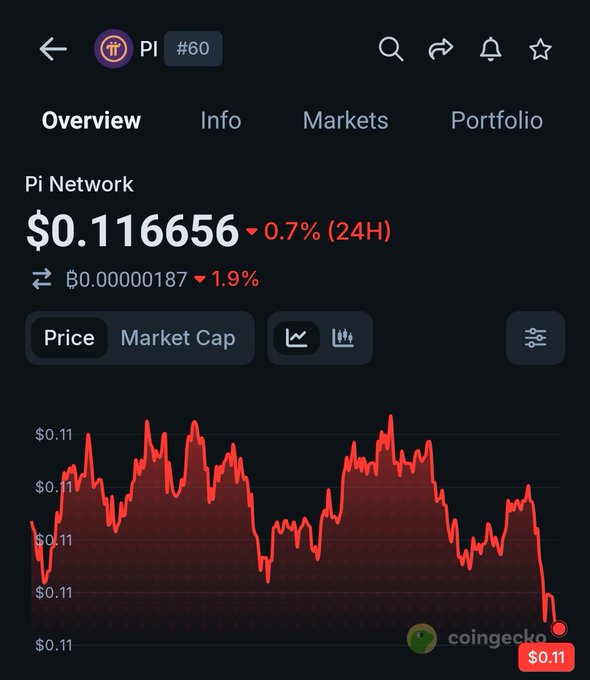 A CoinGecko price chart for Pi Network (PI) showing a current price of $0.116656, down 0.7% in 24 hours, with a volatile intraday trend that ends in a sharp decline near $0.11. The steep downward spike at the end of the chart visually undermines the poster's optimistic belief that people will "print" (profit) with Pi, highlighting the coin's current bearish momentum instead.