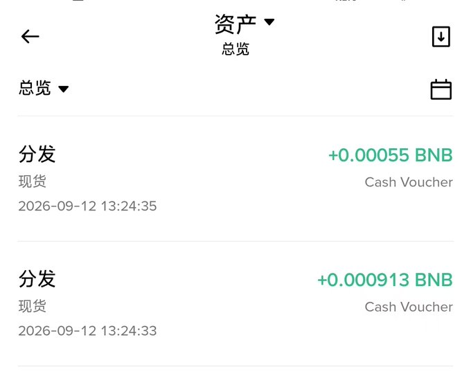 A mobile app screen shows a Chinese assets overview (资产) listing two 'Cash Voucher' distributions: +0.00055 BNB and +0.000913 BNB, both dated 2026-09-12.