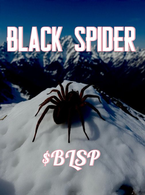 A meme graphic titled 'BLACK SPIDER' featuring a large dark spider on snow with mountains in the background, labeled with the ticker '$BLSP'.