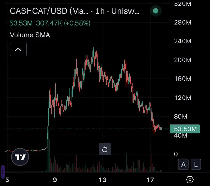 A cryptocurrency price chart for CASHCAT/USD on Uniswap showing a price of 53.53M, up 0.58%, with volume data displayed.