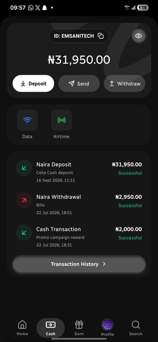 A mobile banking app screenshot showing an account (ID: EMSANITECH) with a balance of ₦31,950.00, displaying deposit, send, and withdraw options, plus a transaction history showing a successful Naira deposit, Naira withdrawal, and cash transaction.