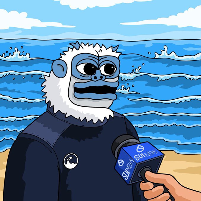 A cartoon-style illustration of a blue-faced monkey character in a wetsuit being interviewed on a beach with waves in the background, holding a microphone labeled 'SOL NEWS'.