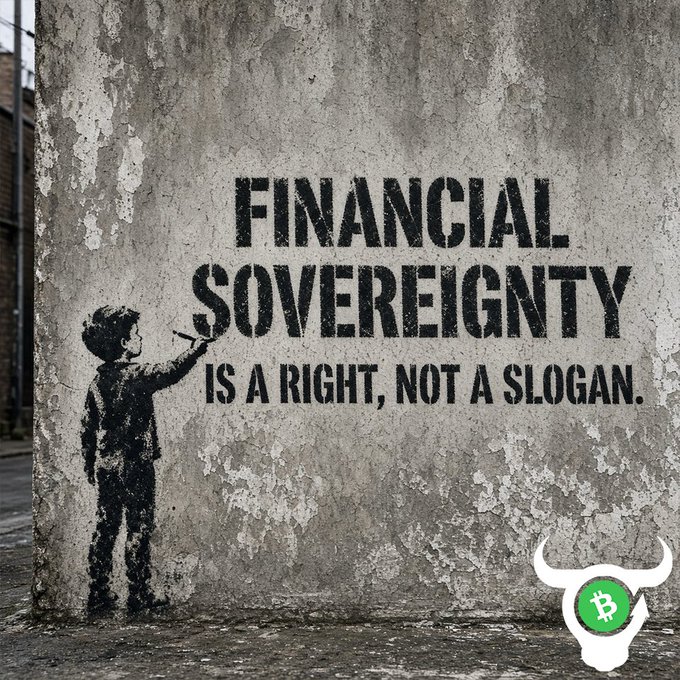 A stenciled street art mural on a concrete wall reads 'FINANCIAL SOVEREIGNTY IS A RIGHT, NOT A SLOGAN.' with a Bitcoin-themed horned skull logo in the bottom right corner.