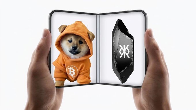 Hands holding a wallet-like device displaying a Shiba Inu dog wearing a Bitcoin hoodie on one side and a coffin with an X logo on the other.