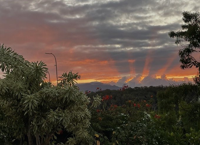 A dramatic sunset landscape featuring orange and pink sun rays piercing through dark clouds over a mountain range, with lush green foliage and red flowers in the foreground.