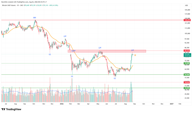 A TradingView chart of Bitcoin CME Futures (1D) showing price action with technical analysis markings including 'MH', 'LH', 'LL', 'OAP', and 'EQ', with the current price around $79,310.