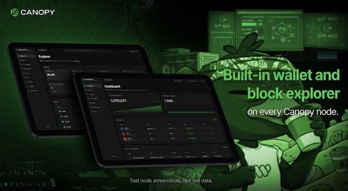 A promotional graphic for Canopy featuring the text 'Built-in wallet and block explorer on every Canopy node' alongside screenshots of an Explorer and Dashboard interface with green-themed cartoon imagery.