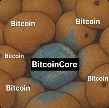 A pile of oranges labeled "Bitcoin" with a single moldy, blue-rotting orange labeled "BitcoinCore" in the center, illustrating how the Bitcoin Core development process is a decaying, compromised anomaly hidden within the broader Bitcoin ecosystem.