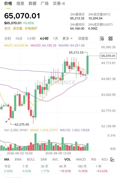 A cryptocurrency trading chart showing Bitcoin (BTC) priced at $65,070.01 (+0.65%) on Binance, with 24h high of $65,213.33 and 24h low of $64,166.00, displaying candlestick patterns and moving averages.