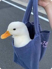 A close-up photo of a white duck with an orange bill being carried in a navy blue tote bag held by a person's hand.