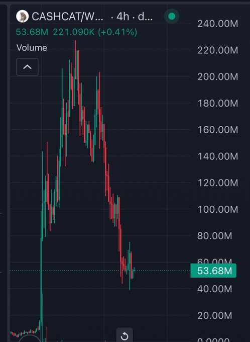 A 4-hour candlestick chart of $CASHCAT/W showing a dramatic price spike to ~230M followed by a steep decline to 53.68M, illustrating the post's concern about over-leveraged perp longs repeatedly getting liquidated as the price searches for a floor.