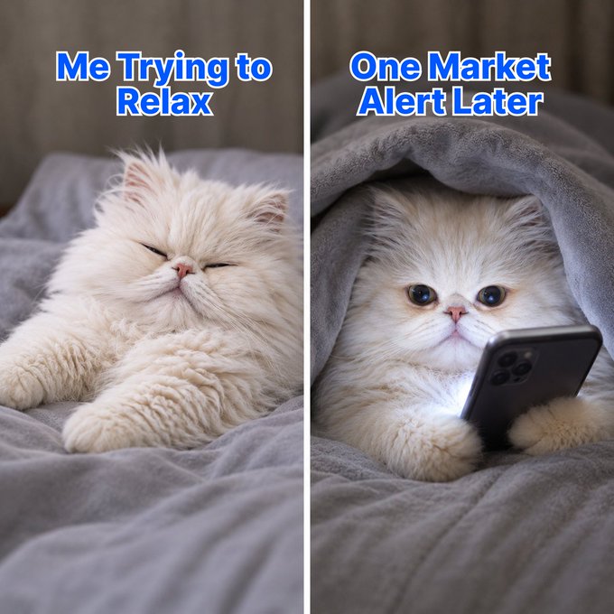 A side-by-side meme shows a fluffy white cat: on the left, it sleeps peacefully under a blanket labeled "Me Trying to Relax," and on the right, it peers out wide-eyed while holding a smartphone under "One Market Alert Later" — perfectly capturing how a single notification can instantly disrupt your peace.