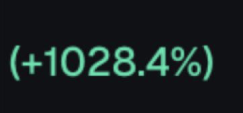 A dark screen displaying glowing cyan text that reads "(+1028.4%)", indicating a large percentage gain.