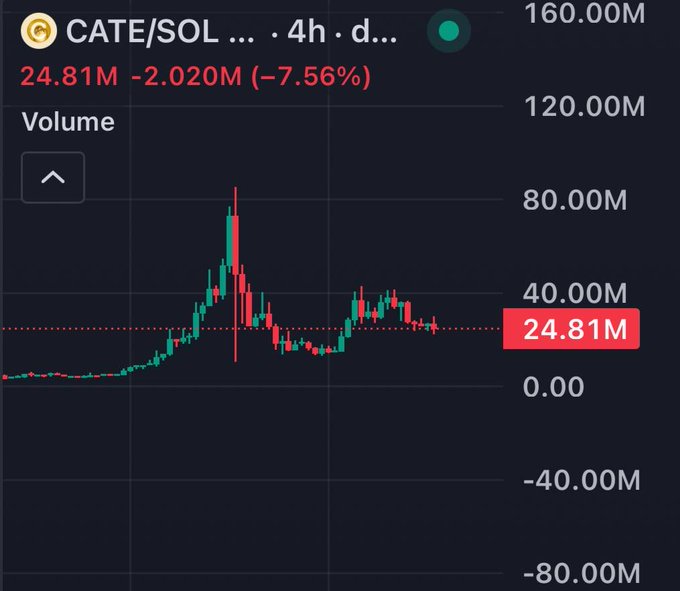 The image shows a 4-hour candlestick chart for the CATE/SOL trading pair, displaying a volume profile with a current value of 24.81M (down 2.020M or -7.56% from a peak near 80M). The chart illustrates CATE/SOL's trading activity, with volume spiking dramatically around mid-period before settling at lower levels, suggesting reduced interest following a major pump event.