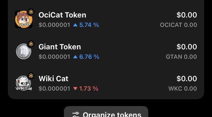 The image shows an Excel worksheet displaying various cryptocurrency exchanges, with specific columns for listing different cryptocurrency tokens. The top row showcases lists of "OciCat" tokens such as "Ocicat", "Wolfcat", and other coin names. The bottom rows show "Gtan" and "WKC" tokens. On the right side of the image, there is a description provided about these exchanges in bold text.