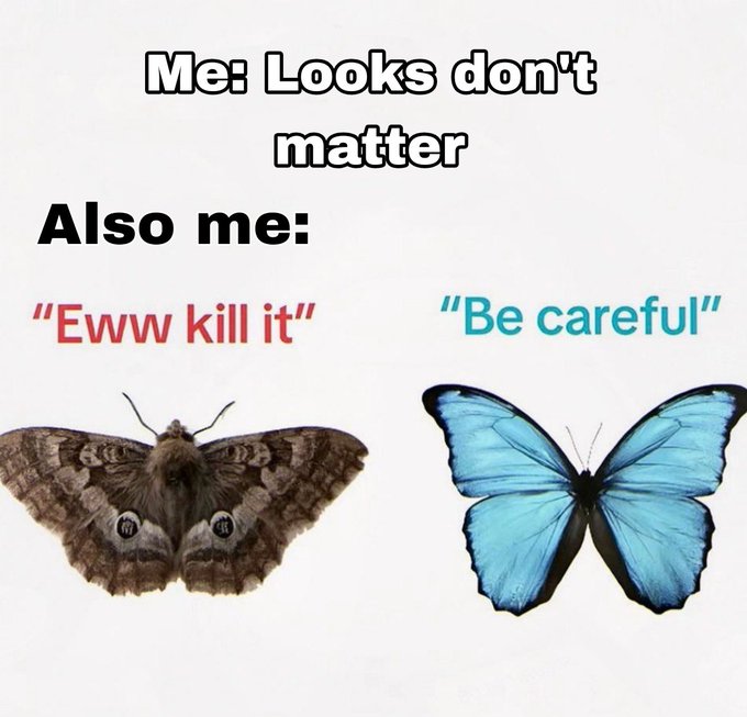 A meme contrasting two insects with the text "Me: Looks don't matter" at the top, showing a brown moth labeled "Eww kill it" alongside a vibrant blue butterfly labeled "Be careful," humorously highlighting the contradiction between claiming appearance doesn't matter while reacting differently based on looks.