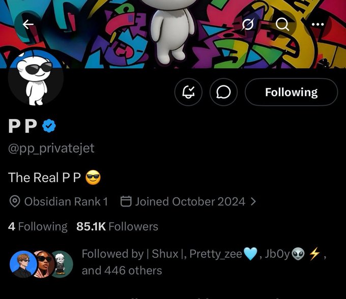 A Twitter/X profile for "PP" (@pp_privatejet) with 85.1K followers, a verified blue check, and the tagline "The Real P P 😎," showing an account joined in October 2024. The image relates to the post by displaying the profile that is rumored to be linked to Drake, which is alleged to have distributed $1M in USDT giveaways via Stake.