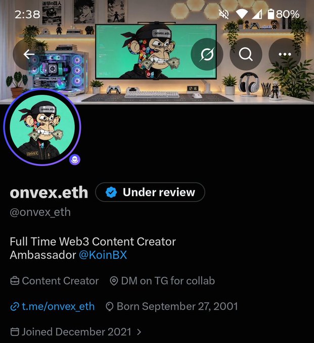 A crypto profile page for “onvex.eth” marked “Under review” lists “Full Time Web3 Content Creator,” “Ambassador @KoinBX,” “Content Creator,” “DM on TG for collab,” “t.me/onvex_eth,” and “Born September 27, 2001.”