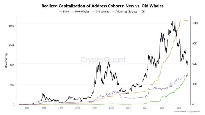 The chart, titled "Realized Capitalization of Address Cohorts: New vs. Old Whales," tracks Bitcoin's price alongside the realized cap of new and old whales from 2017 through 2025, showing old whales' realized cap (orange) plateauing near $160B while new whales' cap (green) continues climbing sharply to roughly $40B—visually reinforcing the post's claim that OG whales have finished accumulating while fresh whales are still actively stacking BTC at historic levels.