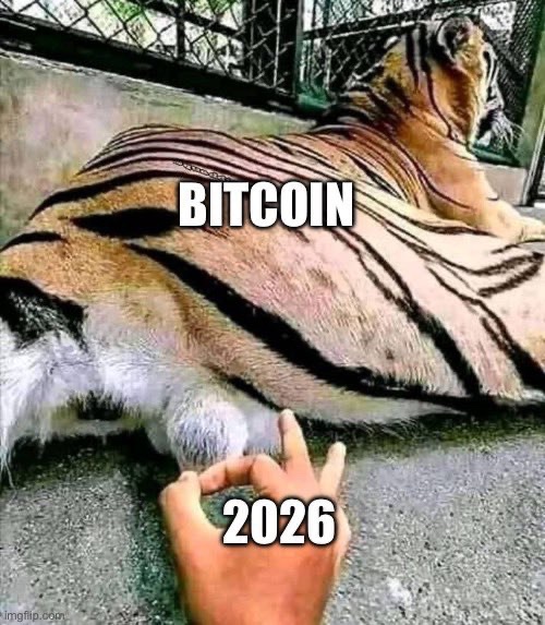 A meme featuring a tiger lying down with its back turned, while a hand labeled "2026" makes a peace sign near it, and "BITCOIN" is written across the tiger's striped body.
