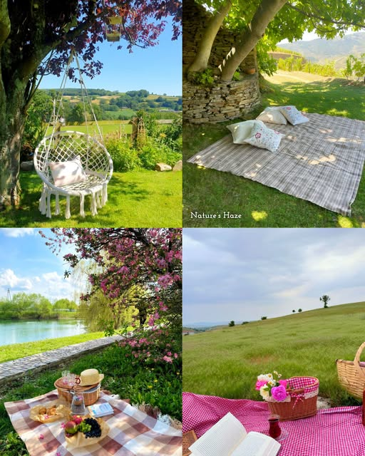 A collage of four outdoor scenes featuring idyllic picnic and relaxation setups, including a macramé hanging chair, a blanket under a tree with "Nature's Haze" watermarked, a lakeside picnic, and a grassy hill with a pink gingham blanket.