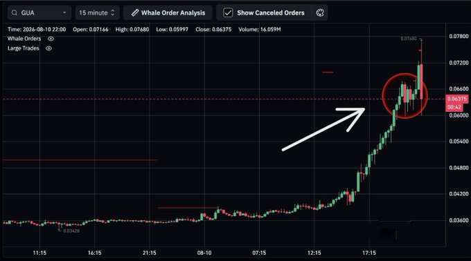 A candlestick chart for the ticker $GUA (15-minute timeframe) dated 2024-08-10 shows a sharp price collapse to $0.06375 from a high of $0.07680, with a red circle and arrow highlighting the steep downturn caused by a large sell order visible on the chart.
