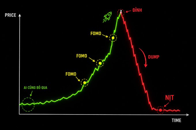 A chart illustrates the classic crypto market cycle, labeling stages with 'AI CŨNG BỎ QUA', 'FOMO', 'ĐỈNH' (rocket emoji), 'DUMP', and 'NỊT' plotted on a price versus time graph.