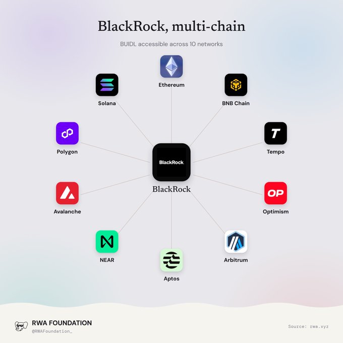 An infographic titled 'BlackRock, multi-chain' showing BUIDL accessible across 10 networks including Ethereum, Solana, BNB Chain, Tempo, Optimism, Arbitrum, Aptos, NEAR, Avalanche, and Polygon, sourced from rwa.xyz by RWA Foundation.