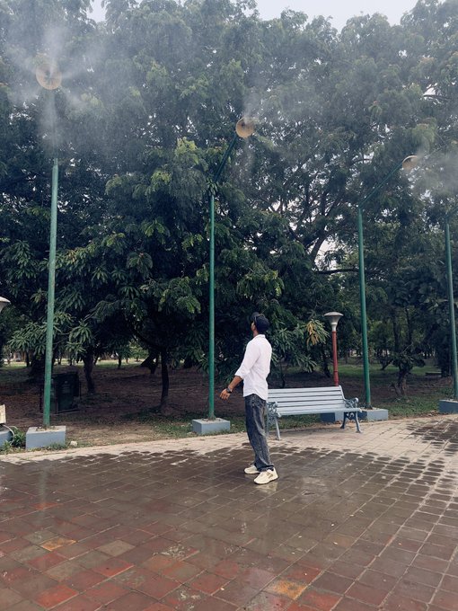 A young person in a white shirt and dark pants walks on a brick path in a park lined with large trees and green lamp posts on a misty day.