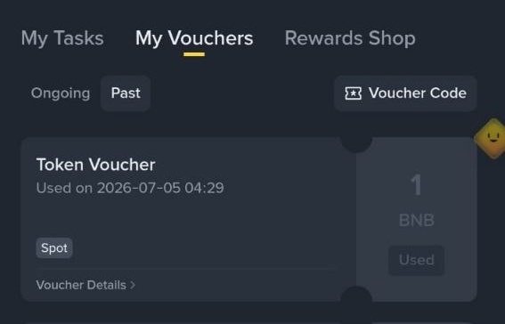 A screenshot of the "My Vouchers" tab on Binance showing a "Past" Token Voucher worth 1 BNB that was used for Spot trading on 2026-07-05 04:29, supporting the post's celebration of community members receiving BNB vouchers as part of the #BinanceTurns9 Anniversary.