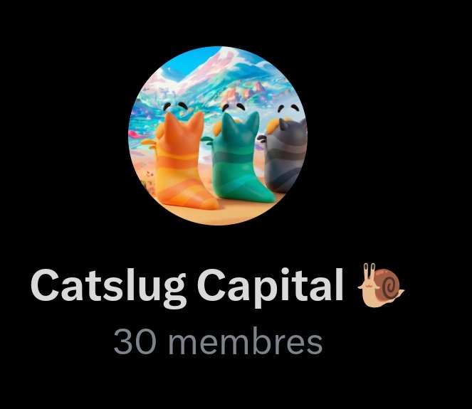 A profile or group icon for 'Catslug Capital' showing three cartoon cats looking at a landscape through a circular window, with '30 membres' displayed below.