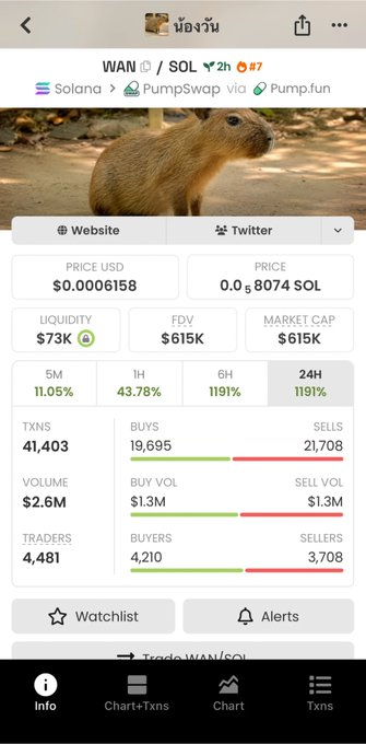Mobile app screenshot showing trading data for 'น้องวัน' (WAN/SOL) token on Solana via PumpSwap and Pump.fun, priced at $0.0006158 with a market cap of $615K and 1191% 24H gain.