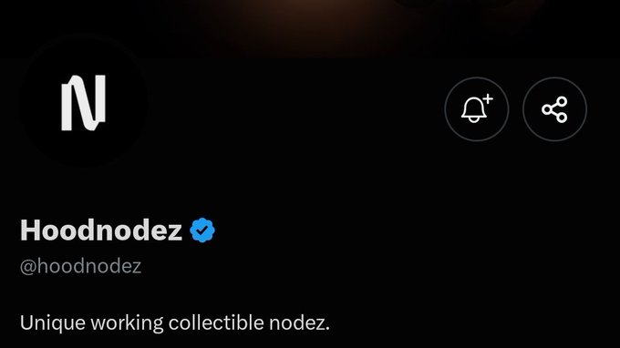 A screenshot of the verified Twitter/X profile of "Hoodnodez" (@hoodnodez) with the bio "Unique working collectible nodez." The image relates to the post about allocating to Matrix, suggesting Hoodnodez is announcing or thanking supporters for an allocation of their Matrix collectible nodez tokens.