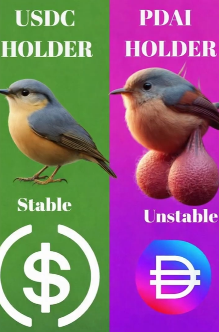 A comparison graphic showing a USDC holder as a stable nuthatch bird and a PDAI holder as an unstable bird with exaggerated features.