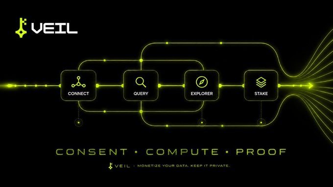 A promotional graphic for VEIL featuring a neon green flowchart with four steps—CONNECT, QUERY, EXPLORER, STAKE—under the tagline 'CONSENT • COMPUTE • PROOF' and 'MONETIZE YOUR DATA KEEP IT PRIVATE.'