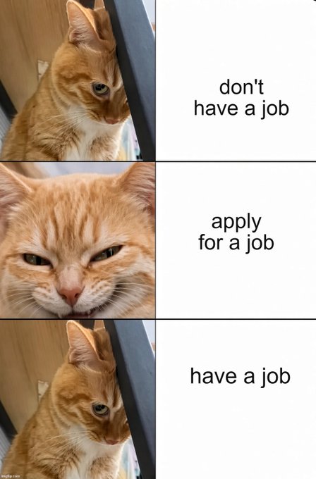 A three-panel meme featuring an orange tabby cat with changing facial expressions paired with text: "don't have a job" (calm), "apply for a job" (annoyed/winking), and "have a job" (neutral again). The meme humorously illustrates the frustrating "super cycle" of job hunting—where applying feels worse than not having one, yet having one offers little satisfaction.