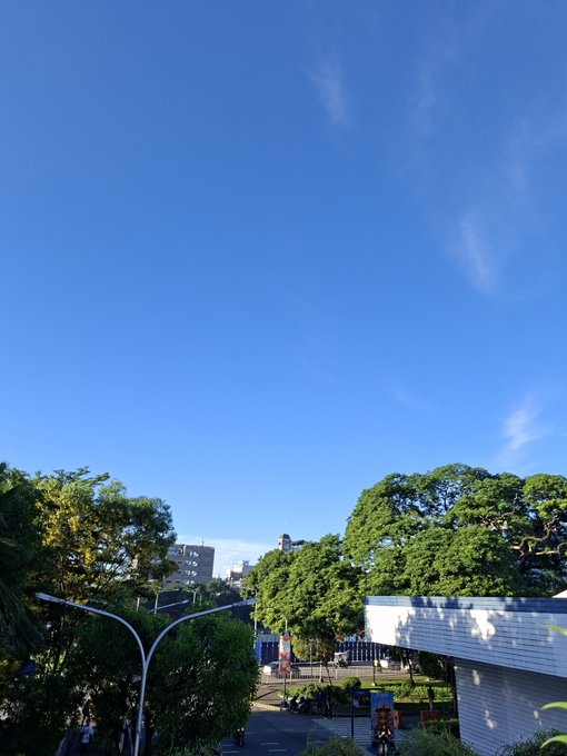 A view of a bright blue sky with wispy clouds over a tree-lined street, featuring a street lamp and buildings in the distance.