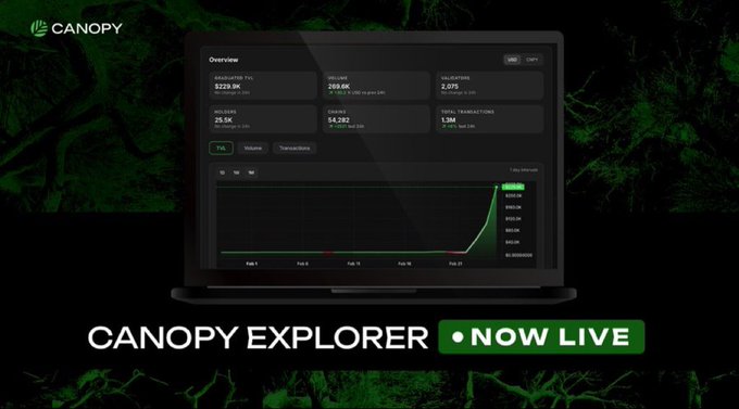 A promotional image for 'CANOPY EXPLORER NOW LIVE' showing a laptop displaying an analytics dashboard with metrics like Total Staked (1.5M) and Validators (74) against a dark green background.
