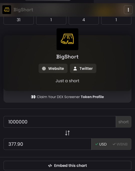 A DEX Screener token profile page for "BigShort" showing the token name with a shorts icon, links to Website and Twitter, the tagline "Just a short", and a price conversion of 1,000,000 short to 377.90 USD/WBNB.