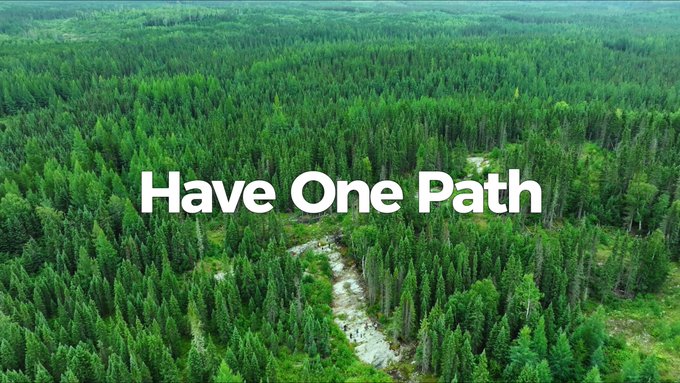 An aerial view of a vast green forest with a winding path through the trees, overlaid with the text 'Have One Path'.