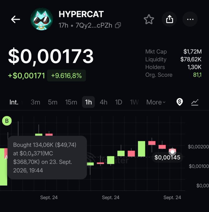 Cryptocurrency chart for "HYPERCAT" showing a price of "$0,00173" with an increase of "+9.616,8%", highlighting a buy of "134,06K ($49,74)".