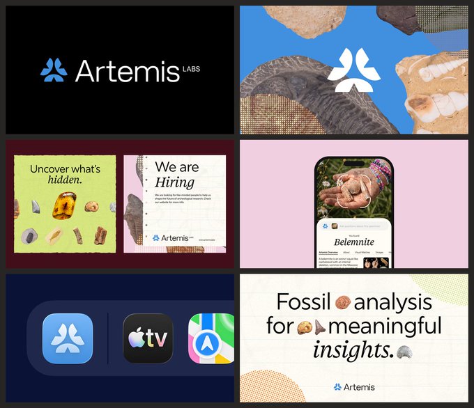 A brand overview collage for Artemis Labs featuring its blue triangular logo against various backgrounds (black, textured images of fossils and rocks, and cream), alongside social media tiles advertising job openings ("We are Hiring") with the tagline "Uncover what's hidden," a phone screen displaying information about a Belemnite fossil, app icons for Apple TV and the App Store, and the tagline "Fossil analysis for meaningful insights."