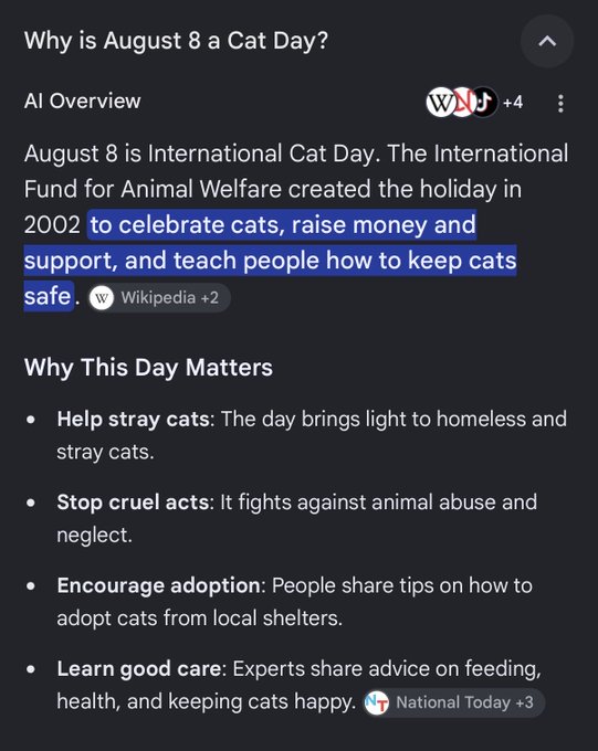 The image shows a Google search result for "Why is August 8 a Cat Day?" featuring an AI Overview explaining that August 8 is International Cat Day, created by the International Fund for Animal Welfare in 2002 to celebrate cats and promote their welfare, along with reasons why the day matters. The post about being "sendy tomorrow" likely refers to sending the $CATE cat-themed meme token on August 8th to coincide with International Cat Day.