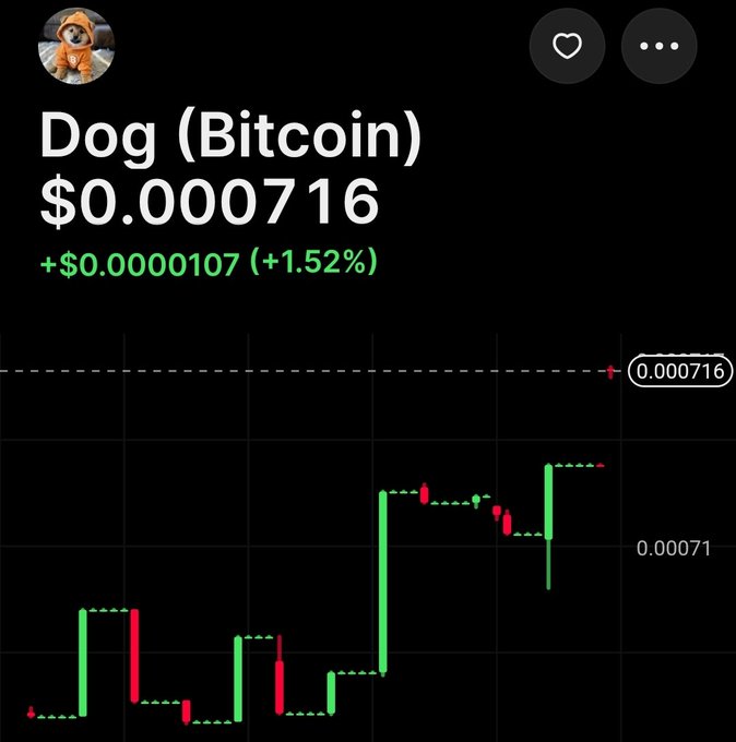 A Robinhood chart for 'Dog (Bitcoin)' token showing a price of $0.000716, up 1.52%, with a green and red candlestick chart.