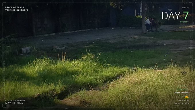 The image shows a person taking a picture of a field with green grass, trees, and a sidewalk. The caption reads "Good Afternoon Legends No excuse today not to touch grass. Breathe nature. @GrassXTouch #proofofgrass #touchgrasstree". This post seems to be about appreciating the beauty of nature or enjoying outdoor activities on a nice day.
