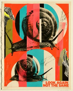 A collage-style poster titled 'LOOK AGAIN NOT THE SAME' featuring multiple images of snails arranged in a fragmented, geometric layout with red, teal, and beige color blocks.