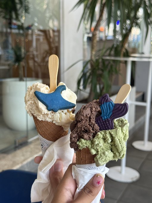 A hand holds two artisan gelato cones from Maison—one featuring a blue stingray-shaped chocolate on creamy vanilla, and the other topped with a purple mermaid tail on chocolate and matcha scoops—perfectly setting the tone for a sweet "good morning" and inviting plans for the day ahead.